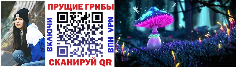 Галлюциногенные грибы мухоморы блэк спрут ссылка Наволоки